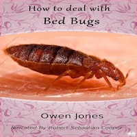 How To Deal With Bed Bugs
