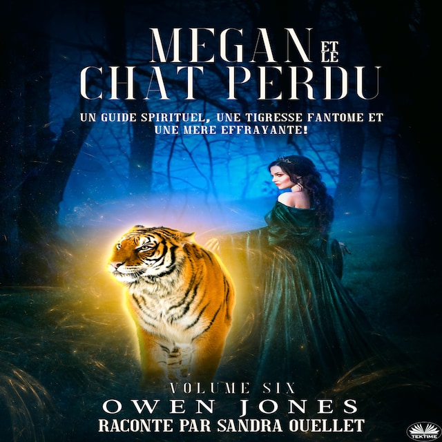 Book cover for Megan Et Le Chat Perdu