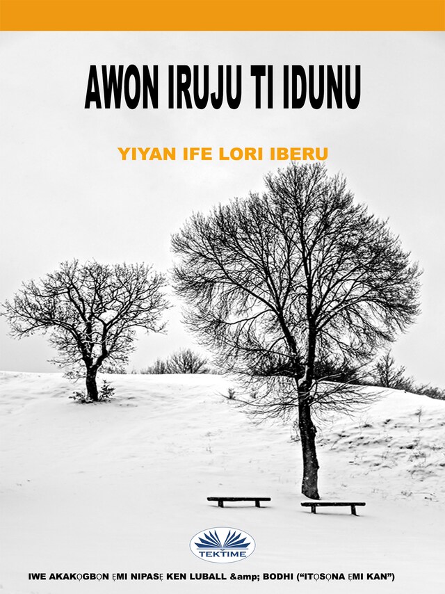 Book cover for Awọn Iruju Ti Idunu