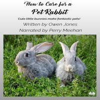 How To Care For A Pet Rabbit