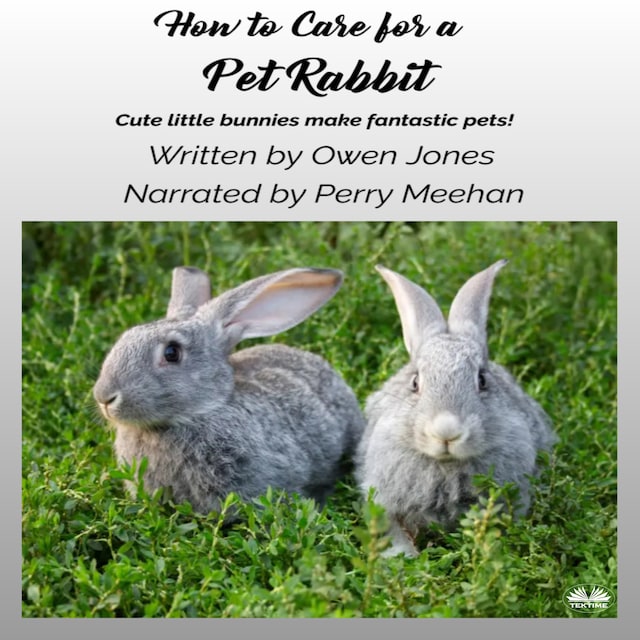 Book cover for How To Care For A Pet Rabbit