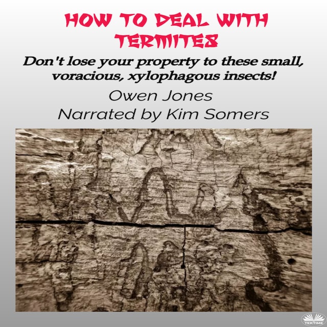 Book cover for How To Deal With Termites