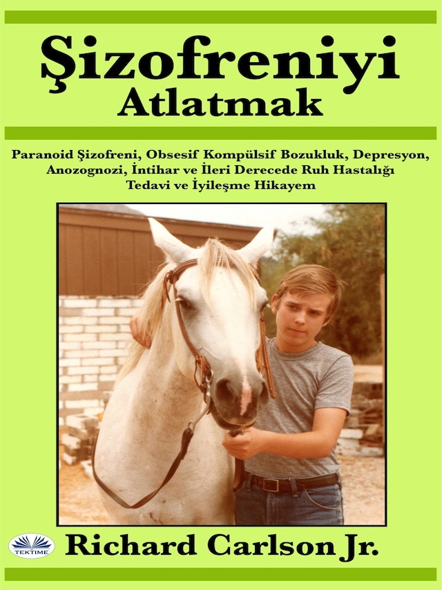 Book cover for Şizofreniyi Atlatmak