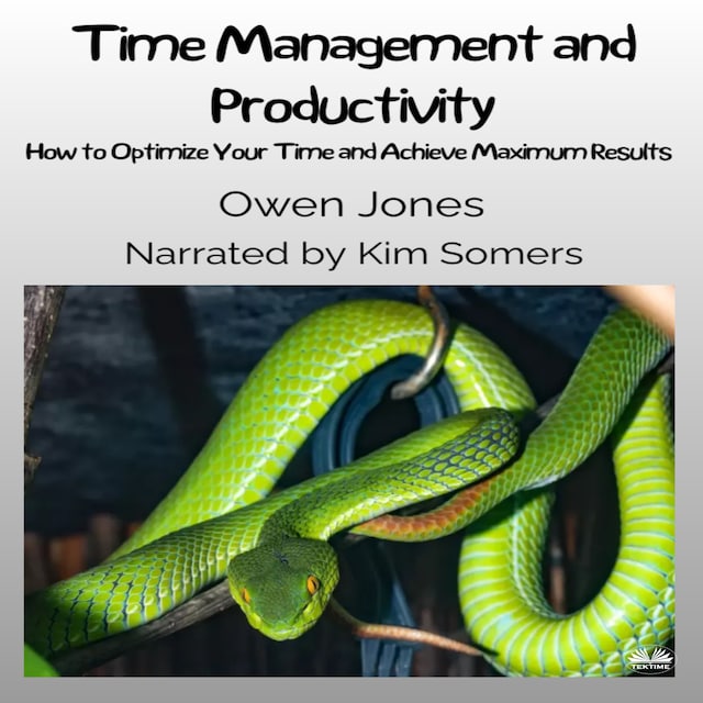 Book cover for Time Management And Productivity