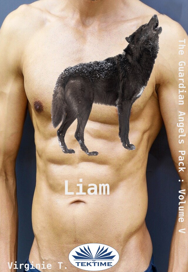 Book cover for Liam