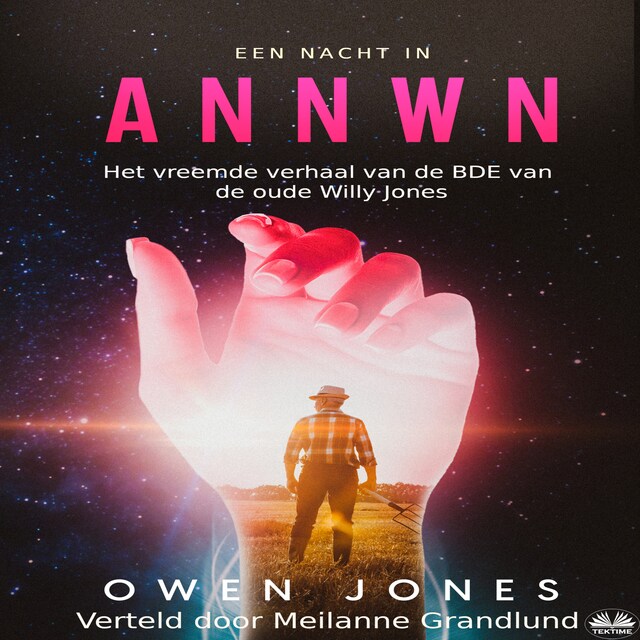 Copertina del libro per Een Nacht In Annwn