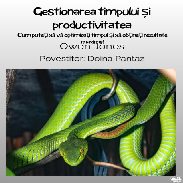 Bokomslag för Gestionarea Timpului Și Productivitatea