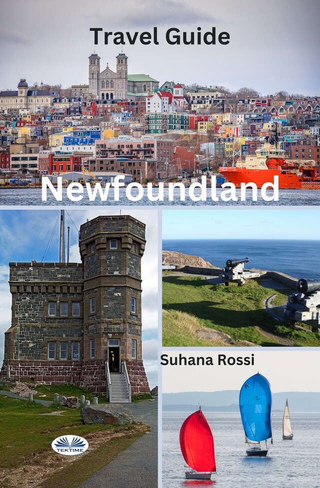 Book cover for Newfoundland Travel Guide