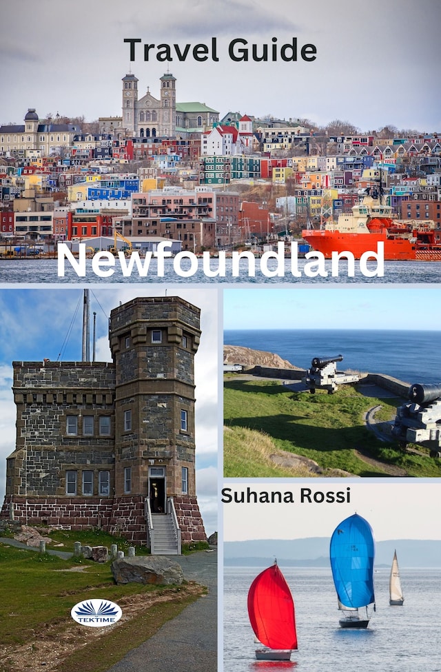 Okładka książki dla Newfoundland Travel Guide