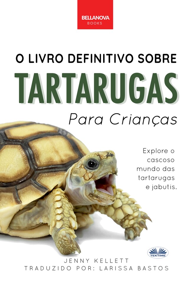 Book cover for O Livro Definitivo Sobre Tartarugas Para Crianças