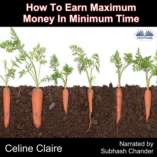 Book cover for How To Earn Maximum Money In Minimum Time