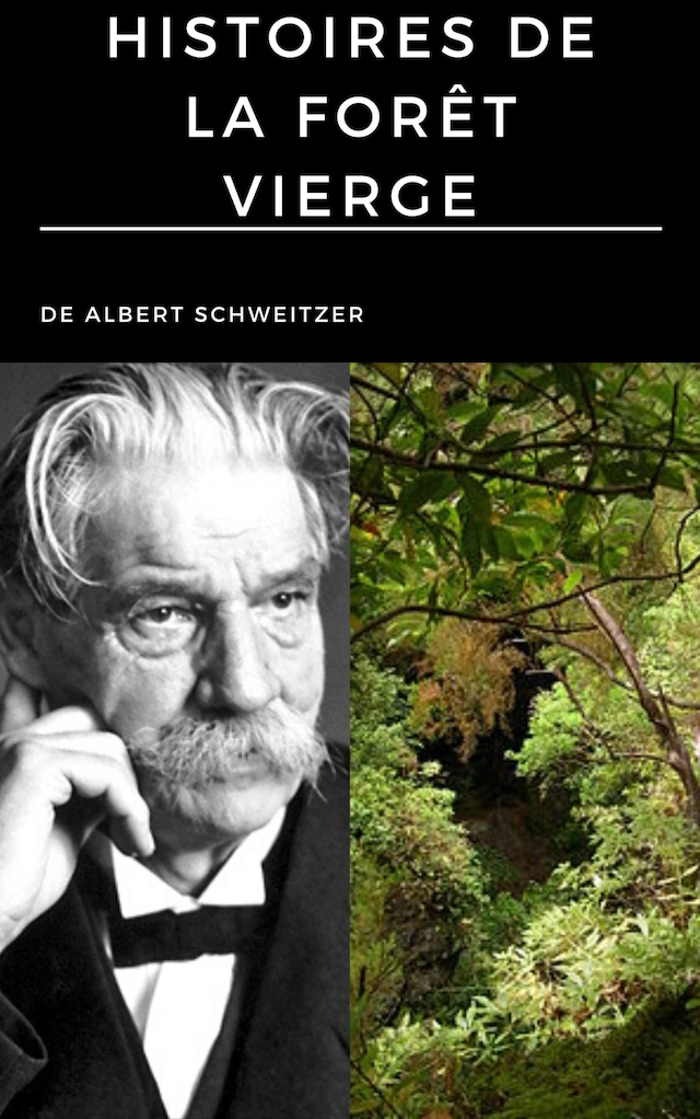 Book cover for Histoires de la forêt vierge