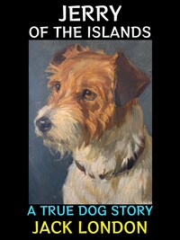 Jerry of the Islands
