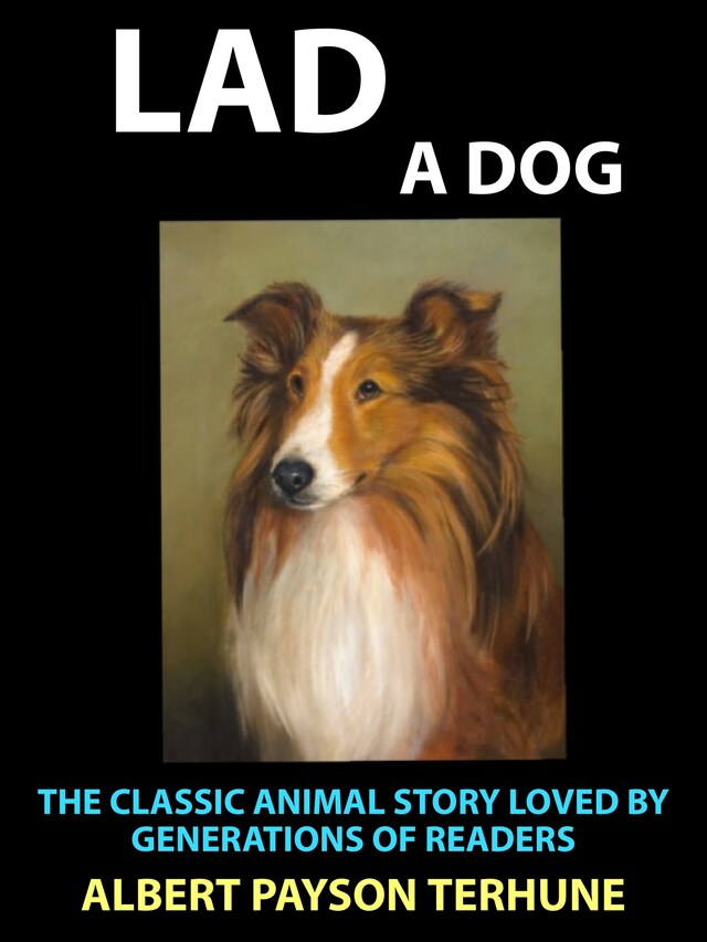 Book cover for Lad A Dog