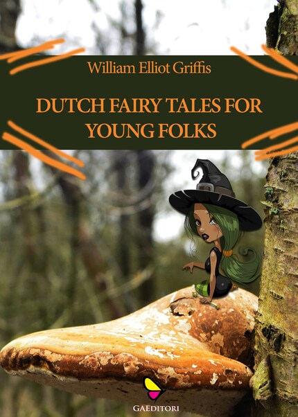Dutch fairy tales for young folks bookCoverFor