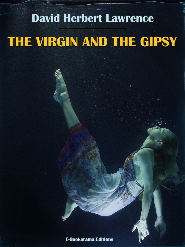 Boekomslag van The Virgin and the Gipsy