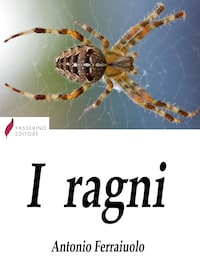 I ragni