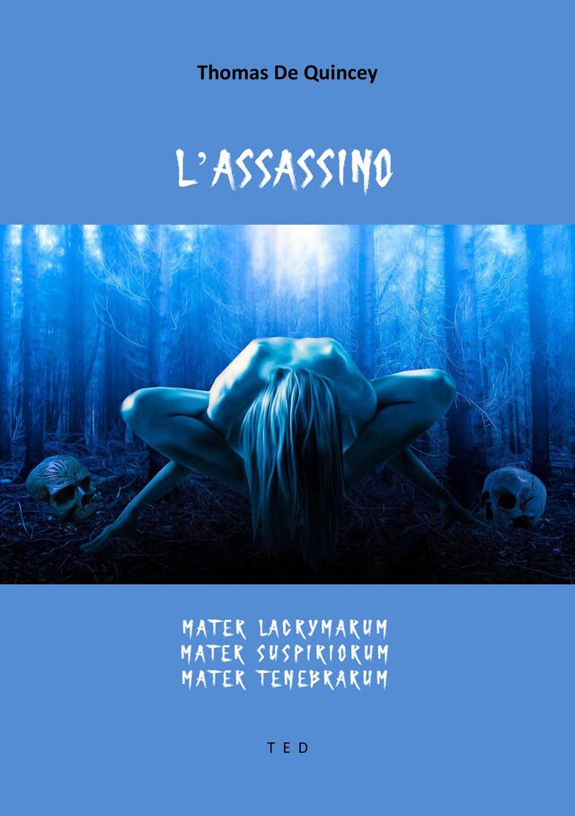 Book cover for L'assassino
