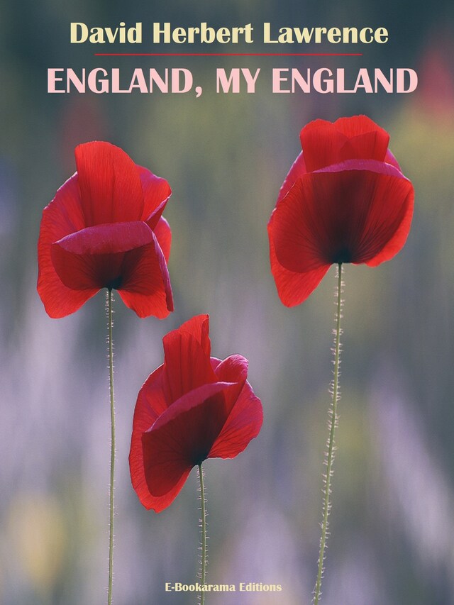Copertina del libro per England, My England