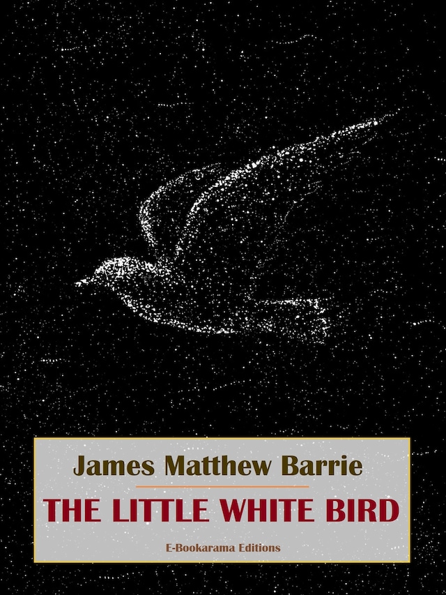 Copertina del libro per The Little White Bird