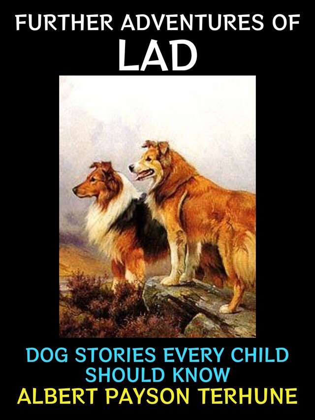 Book cover for Further Adventures of Lad