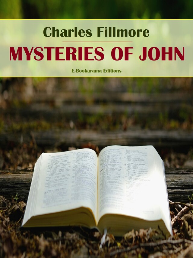 Book cover for Mysteries of John