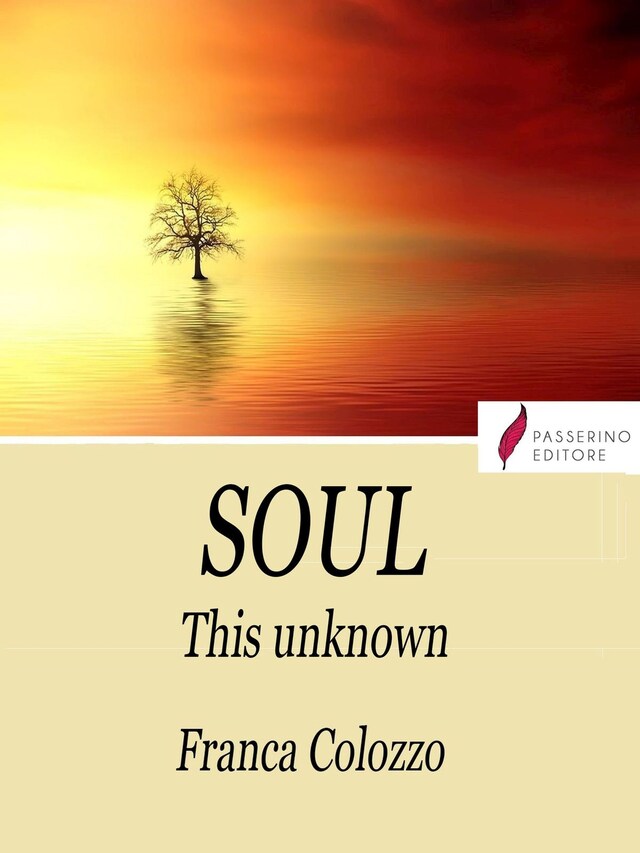 Okładka książki dla Soul