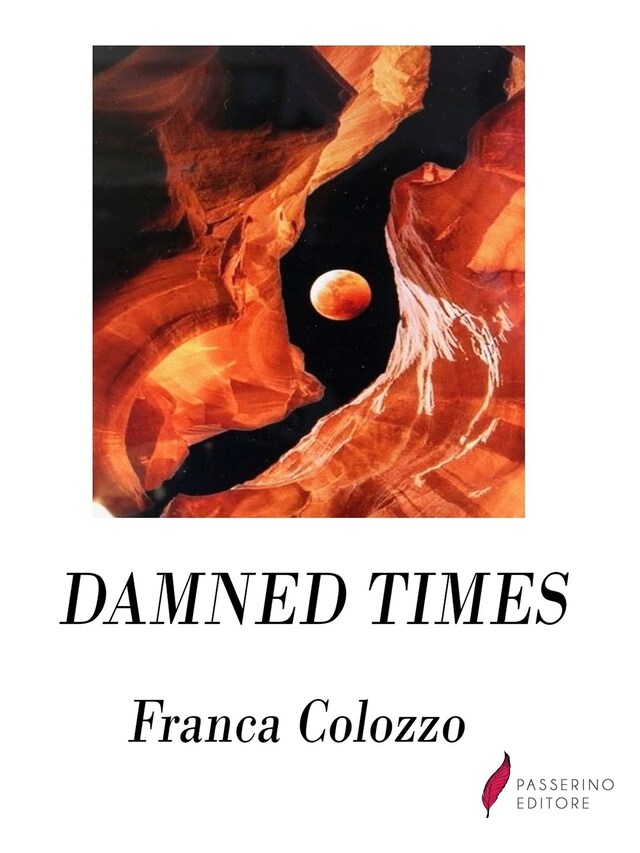 Book cover for Damned times