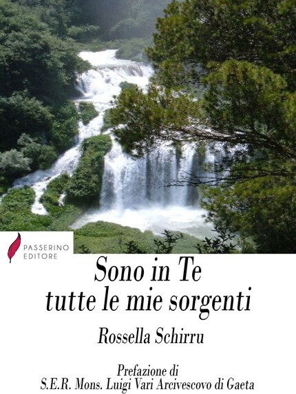 Sono in Te tutte le mie sorgenti bookCoverFor