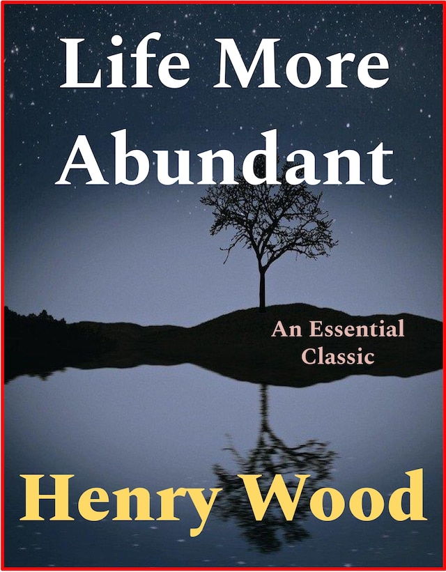 Book cover for Life More Abundant