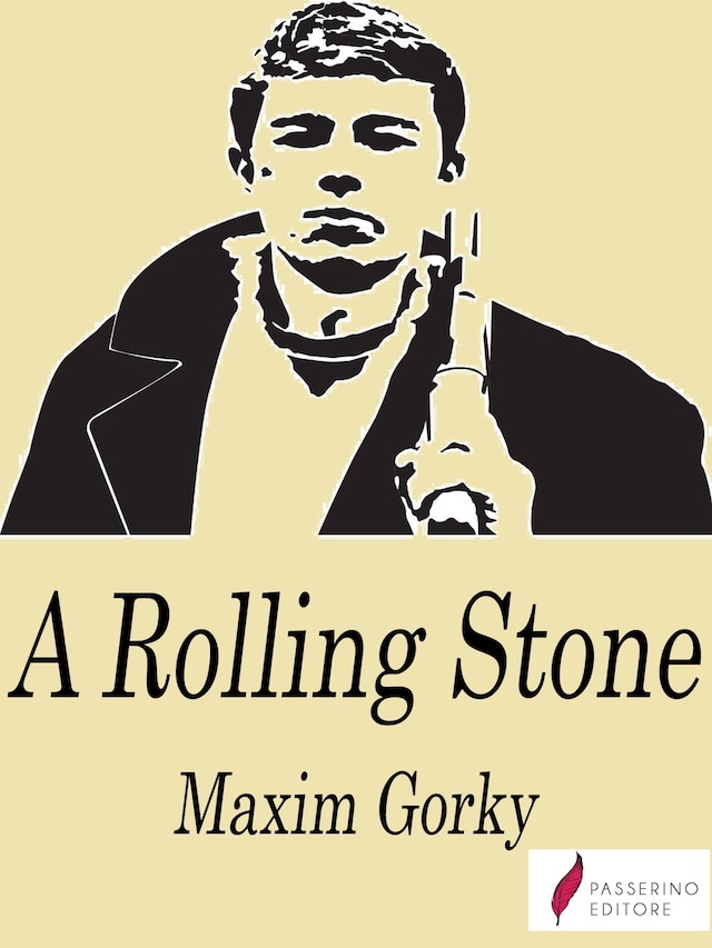 Book cover for A Rolling Stone