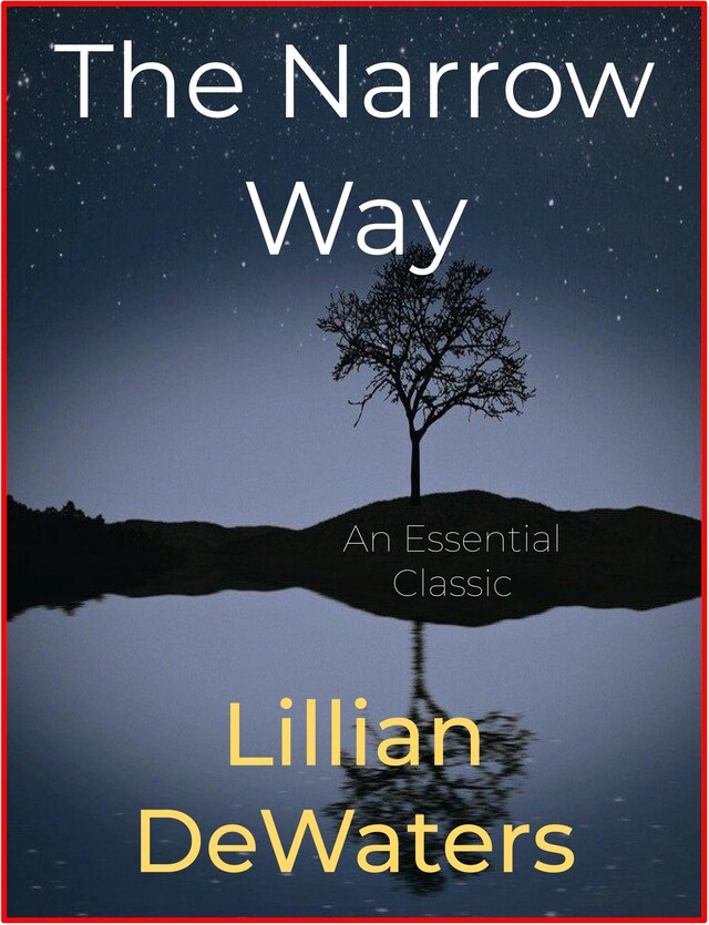 Couverture de livre pour The Narrow Way