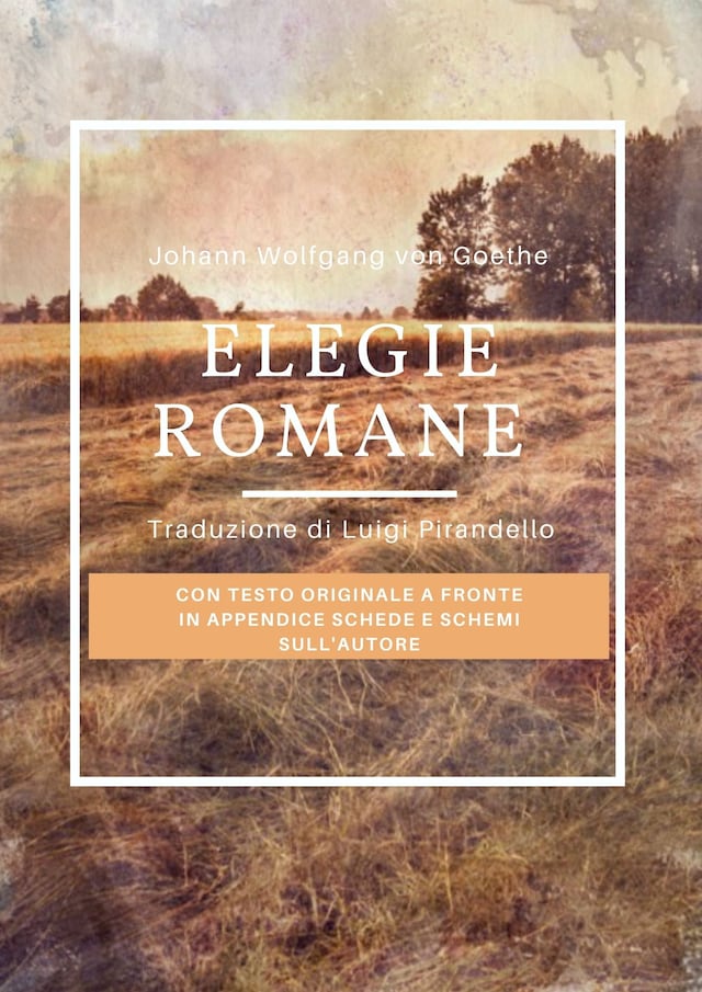 Book cover for Elegie romane