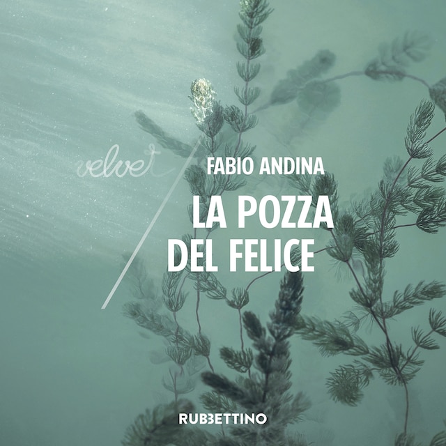 Okładka książki dla La pozza del Felice
