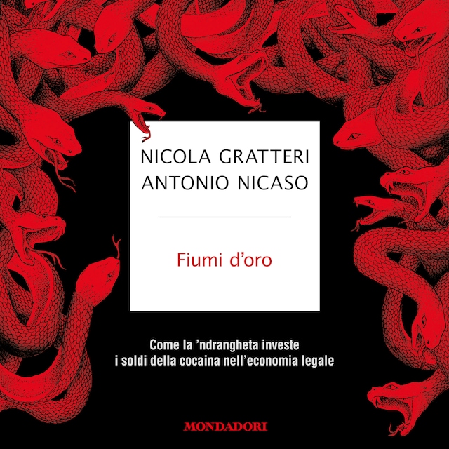 Book cover for Fiumi d'oro
