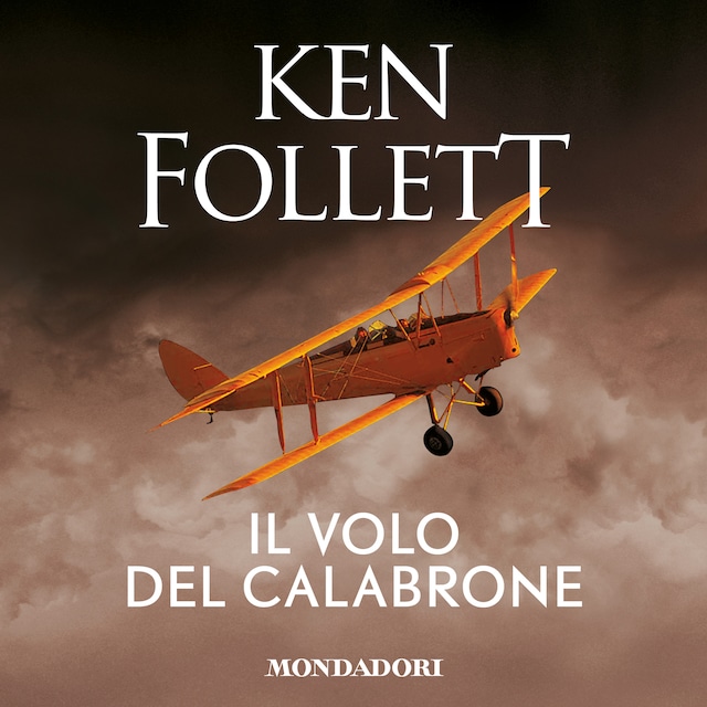 Book cover for Il volo del calabrone