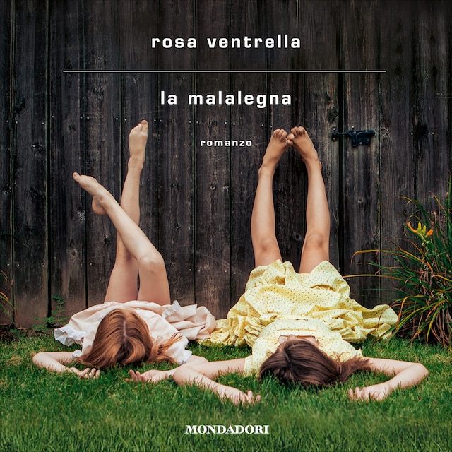 Book cover for La malalegna