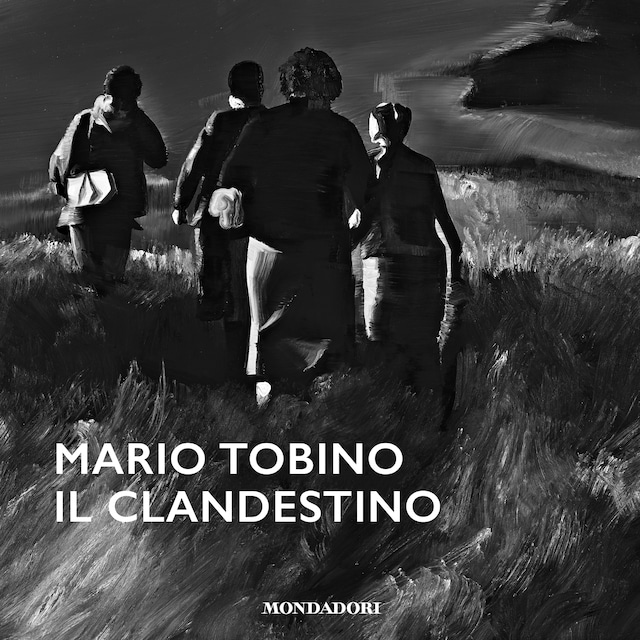 Book cover for Il clandestino