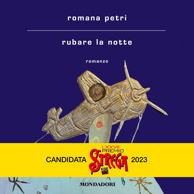 Book cover for Rubare la notte