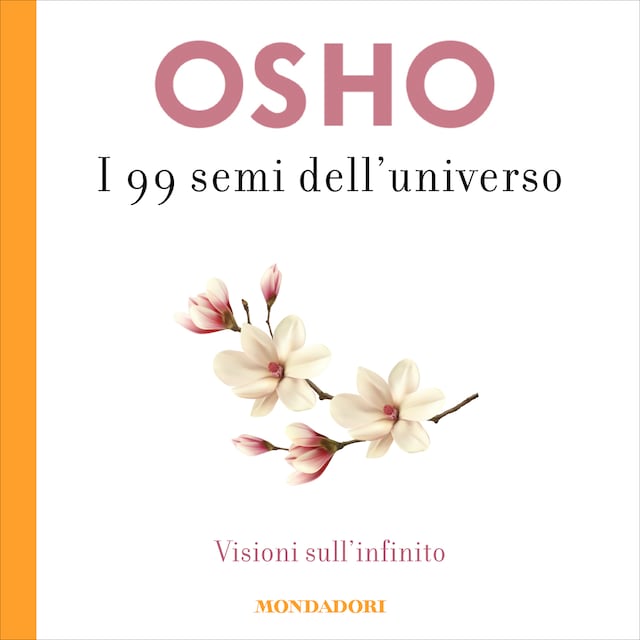 Book cover for I 99 semi dell'Universo