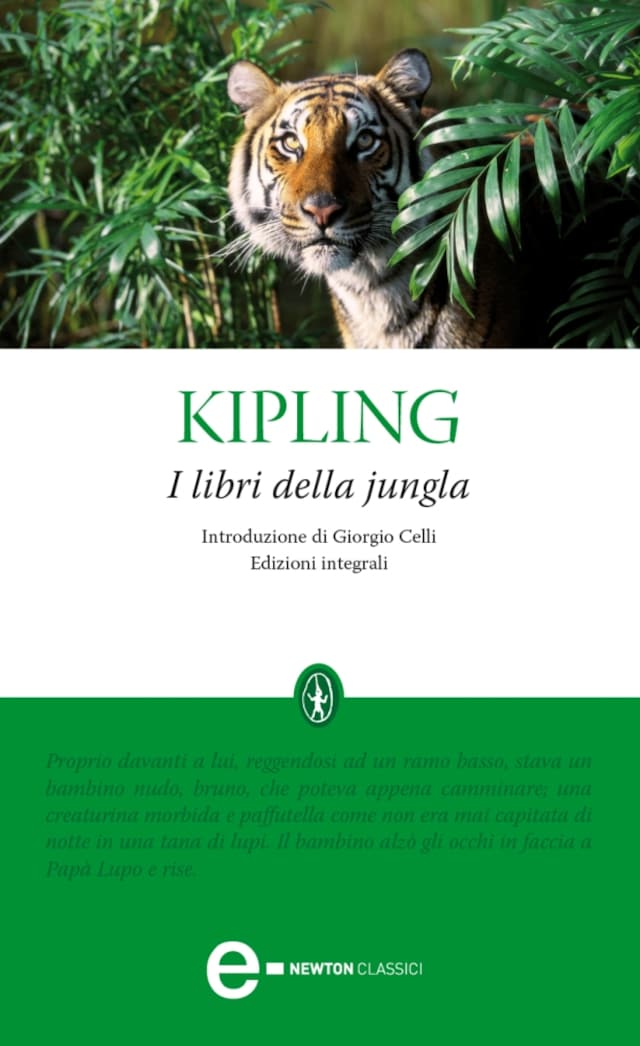 Book cover for I libri della jungla