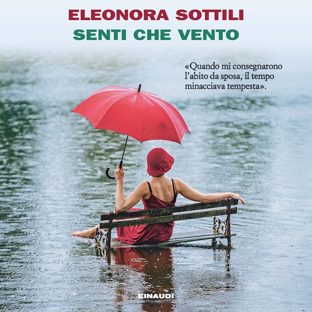 Book cover for Senti che vento