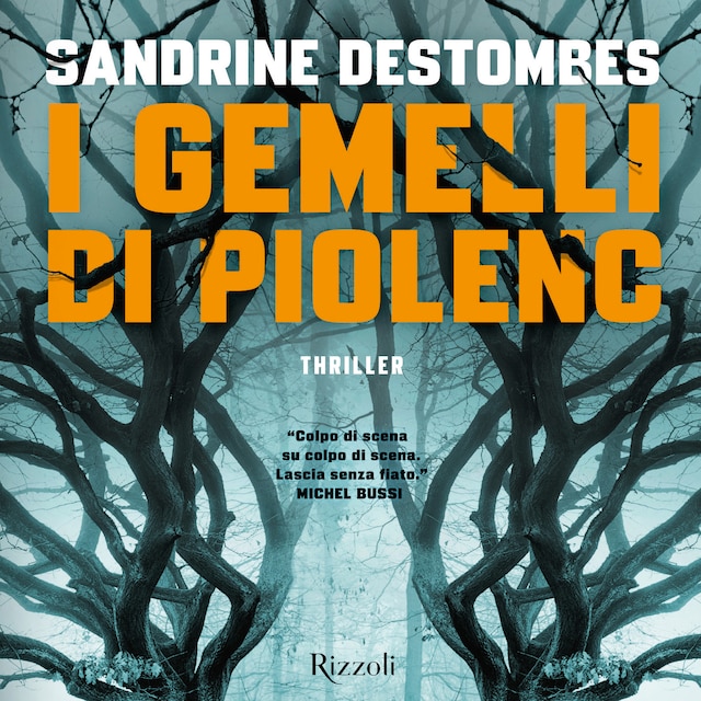Buchcover für I gemelli di Piolenc