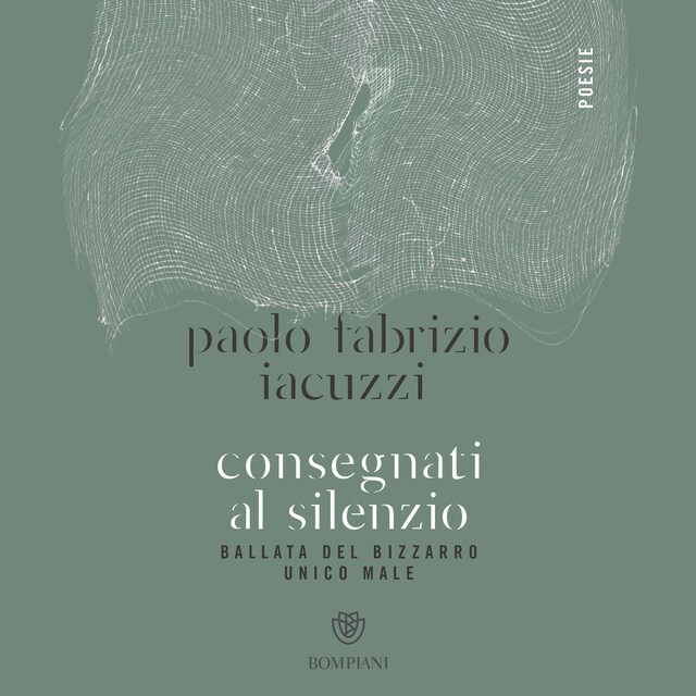 Portada de libro para Consegnati al silenzio