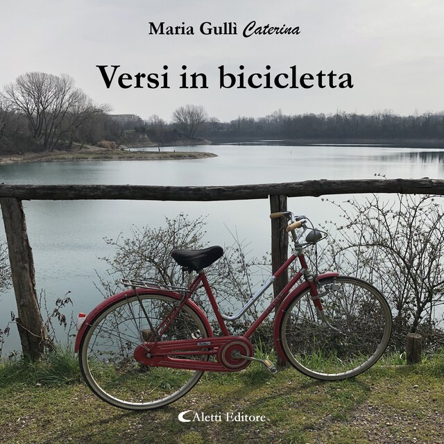 Book cover for Versi in bicicletta