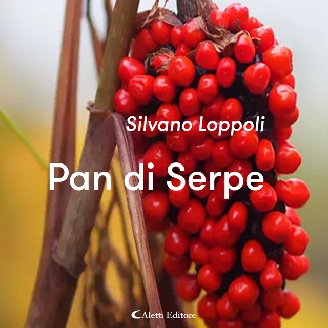 Book cover for Pan di Serpe