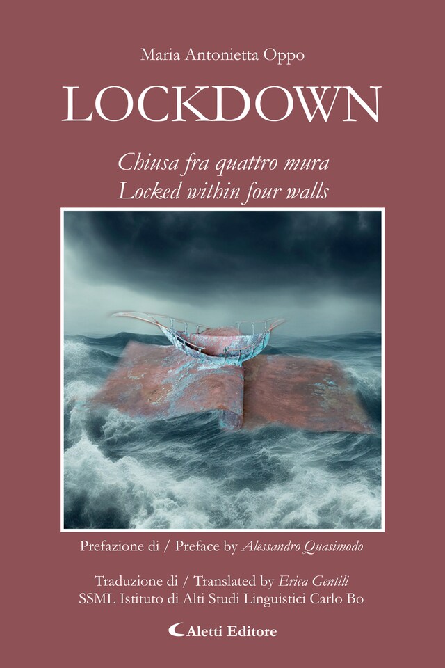 LOCKDOWN Boekomslag van LOCKDOWN