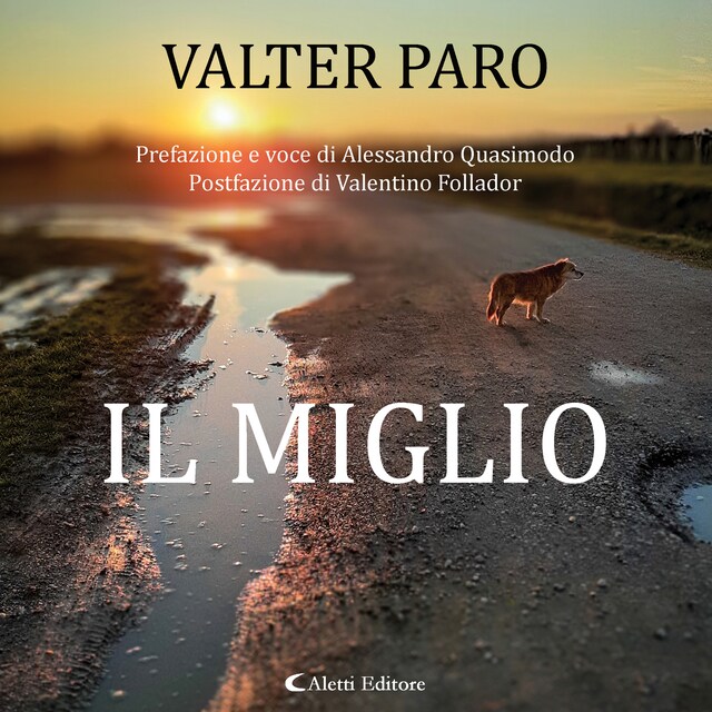 Portada de libro para IL MIGLIO