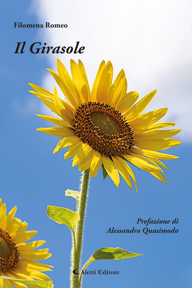 Book cover for Il girasole