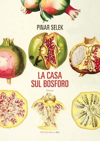 La casa sul bosforo